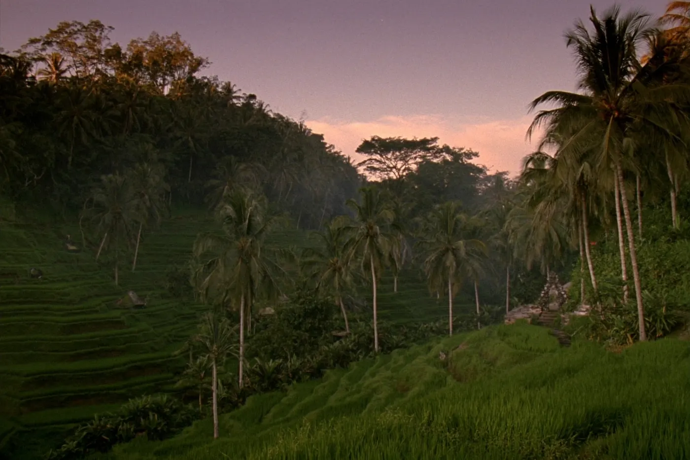 Bali at golden hour