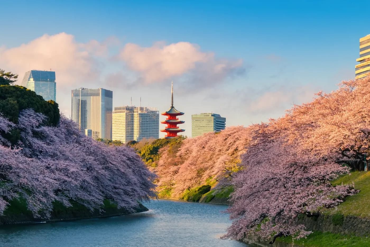 Tokyo at golden hour